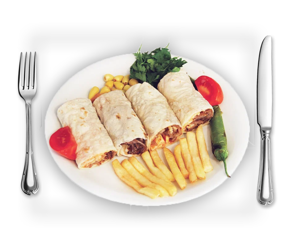 Patates kızartması ve soslu dürüm döner tabağı
